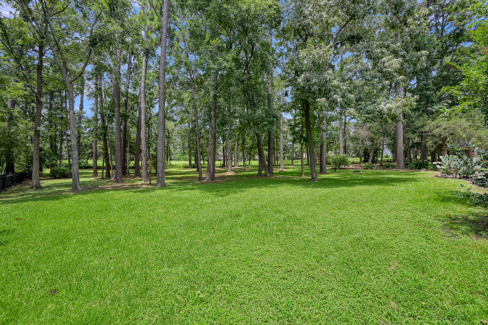 2205 Longmire Road Conroe, TX 77304 - Photo 38 of 49 Check out this beautiful backyard. There are no back neighbors and this truly creates your own backyard oasis!