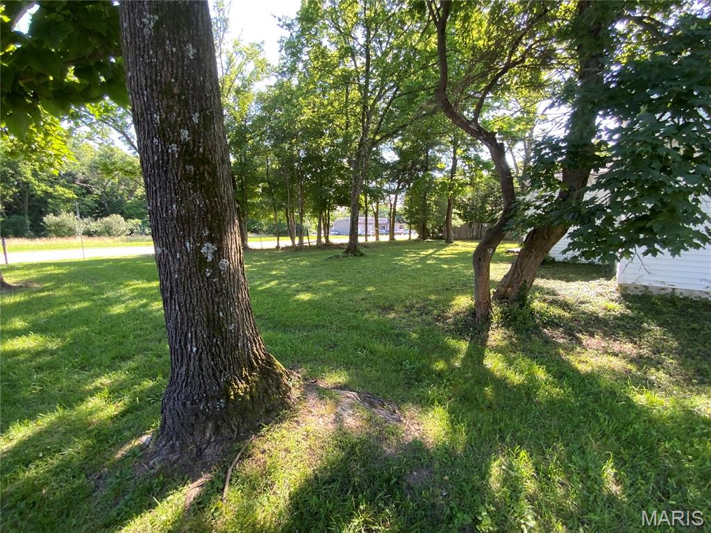 17303 Manchester Road Wildwood, MO 63038 - Photo 8 of 44