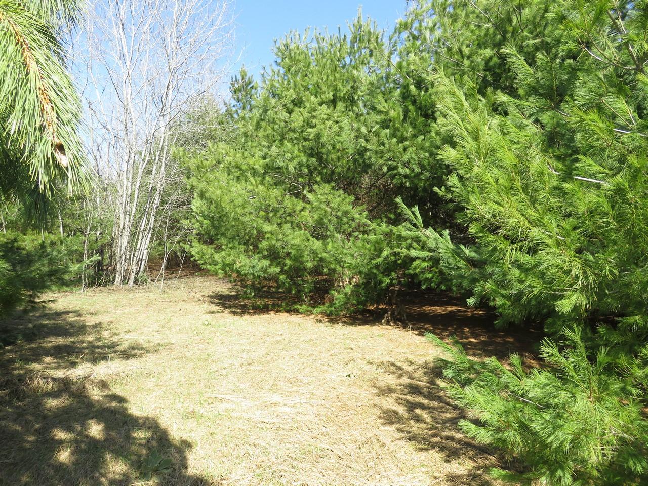 Lot 1 O Neil Road Eagle River, WI 54521 - Photo 6 of 7 Gallery Image 6