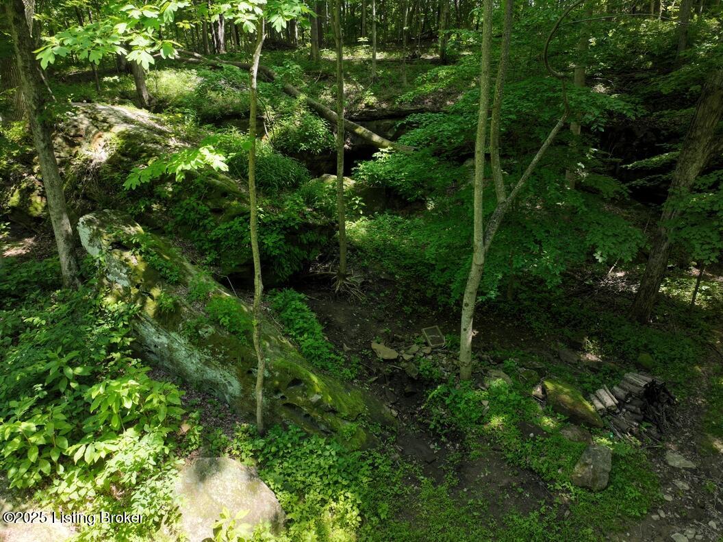 5579 Falls Of The Rough Road Caneyville, KY 42721 - Photo 23 of 33 DJI_0132_20