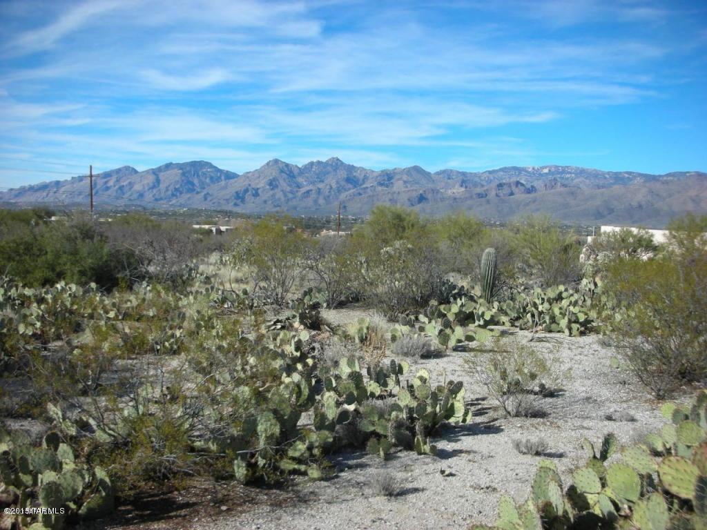 690 North Tanque Verde Loop Road Tucson, AZ 85748 - Photo 13 of 19 Gallery Image 13