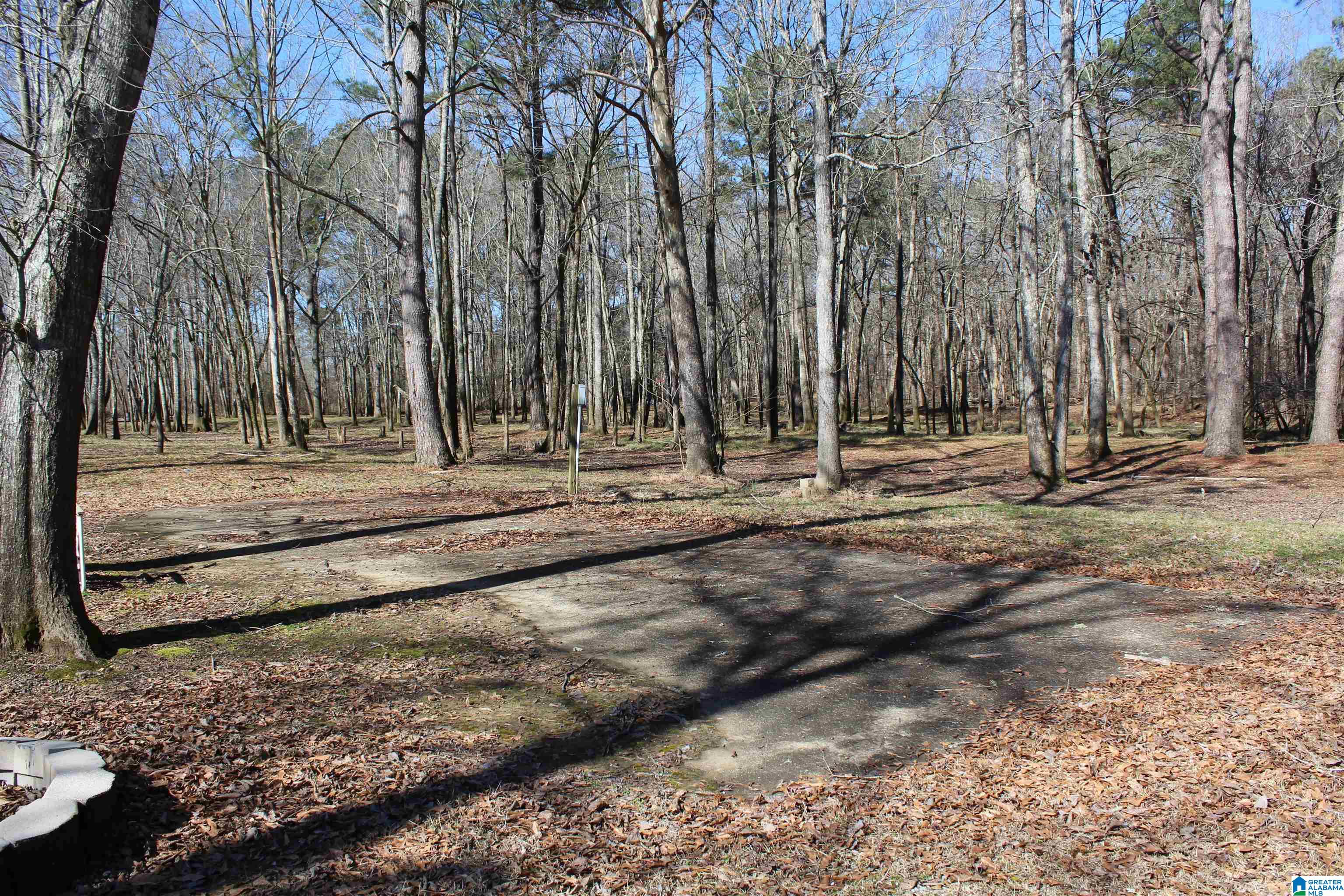 85 Brooks Road Ragland, AL 35131 - Photo 23 of 27
