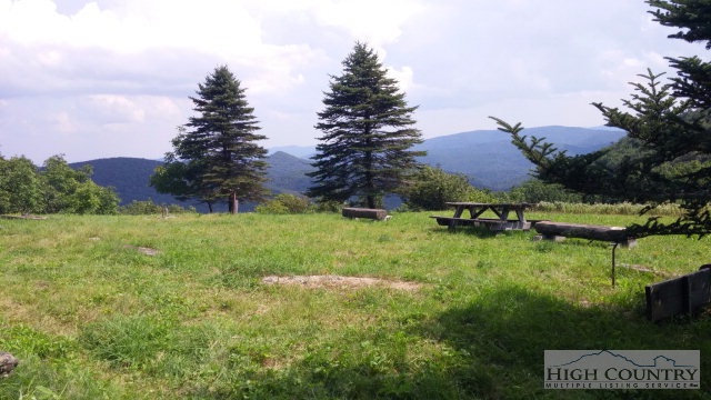 1918 Replogle Drive Boone, NC 28607 - Photo 23 of 39 a view of a garden with a building in the background