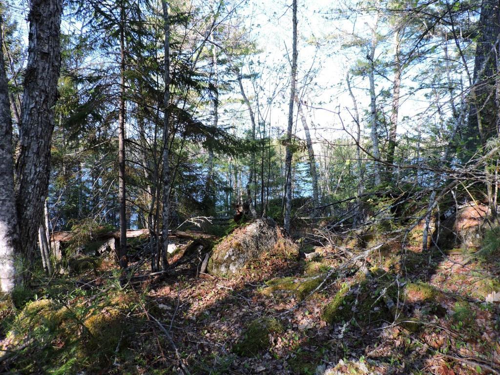 Lot #5 Short Point Way Orland, ME 04472 - Photo 11 of 11 Photo