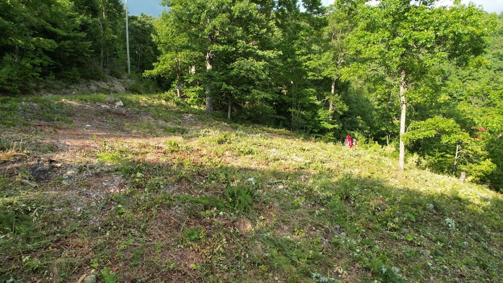 0 Trapper John Way Sevierville, TN 37862 - Photo 6 of 18