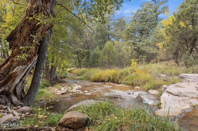 $1,075,000 | 259 West W Forest, Young, AZ 85554