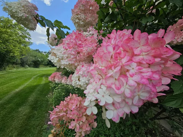 $1,099,000 | N40-w33325 Woodsview Drive, Nashotah, WI 53058