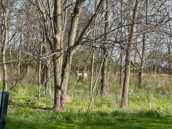 $1,099,000 | N40-w33325 Woodsview Drive, Nashotah, WI 53058