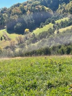 0 McCarter Hollow Road Sevierville, TN 37862 - Photo 3 of 17
