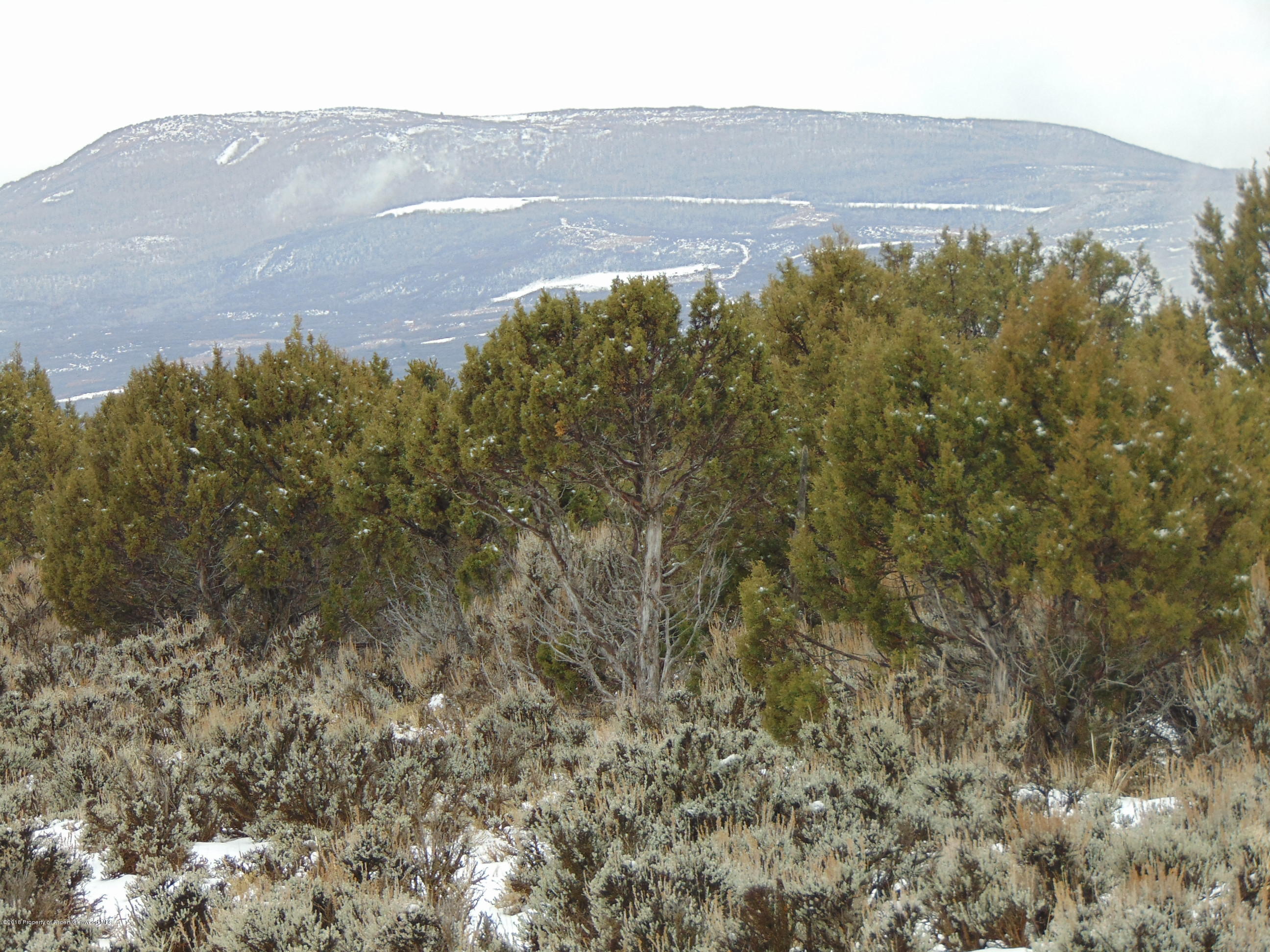 Tbd Tbd Quicksilver Court Rifle, CO 81650 - Photo 3 of 19 a view of a dry yard with mountains in the background
