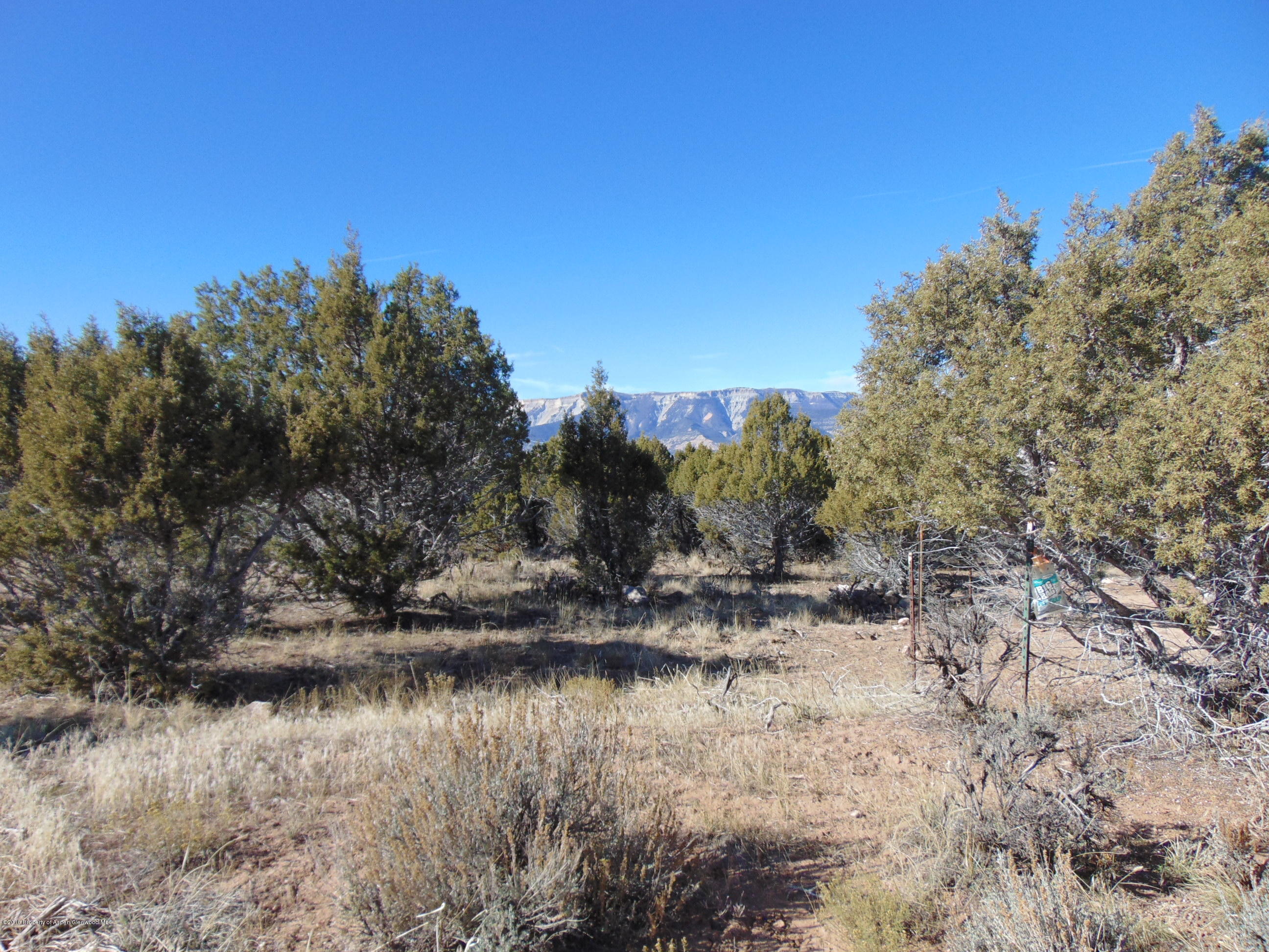 Tbd Tbd Quicksilver Court Rifle, CO 81650 - Photo 8 of 19 a view of lake