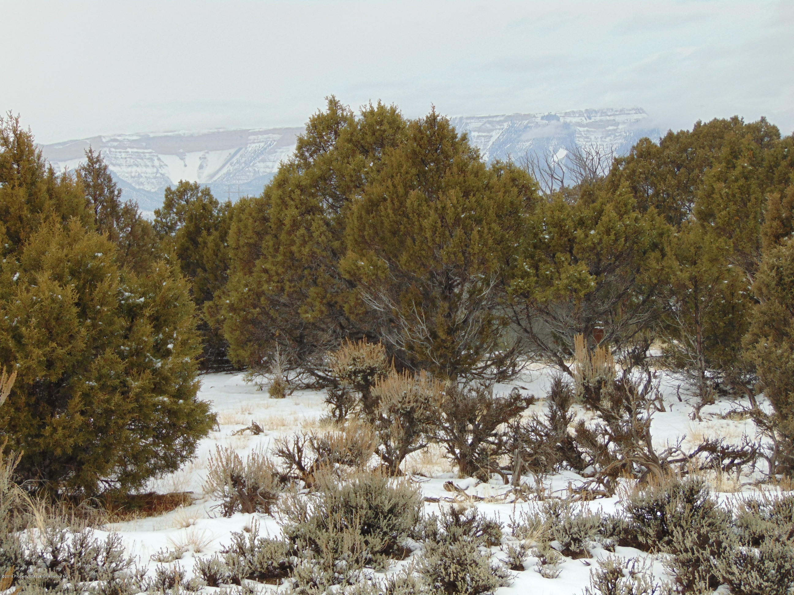 Tbd Tbd Quicksilver Court Rifle, CO 81650 - Photo 9 of 19 a view of a yard with a tree