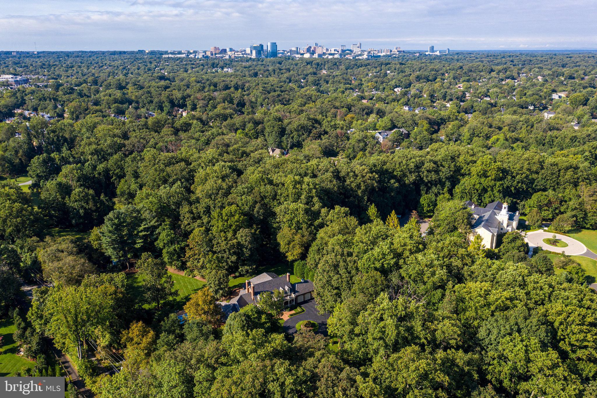 a view of a green field with lots of bushes