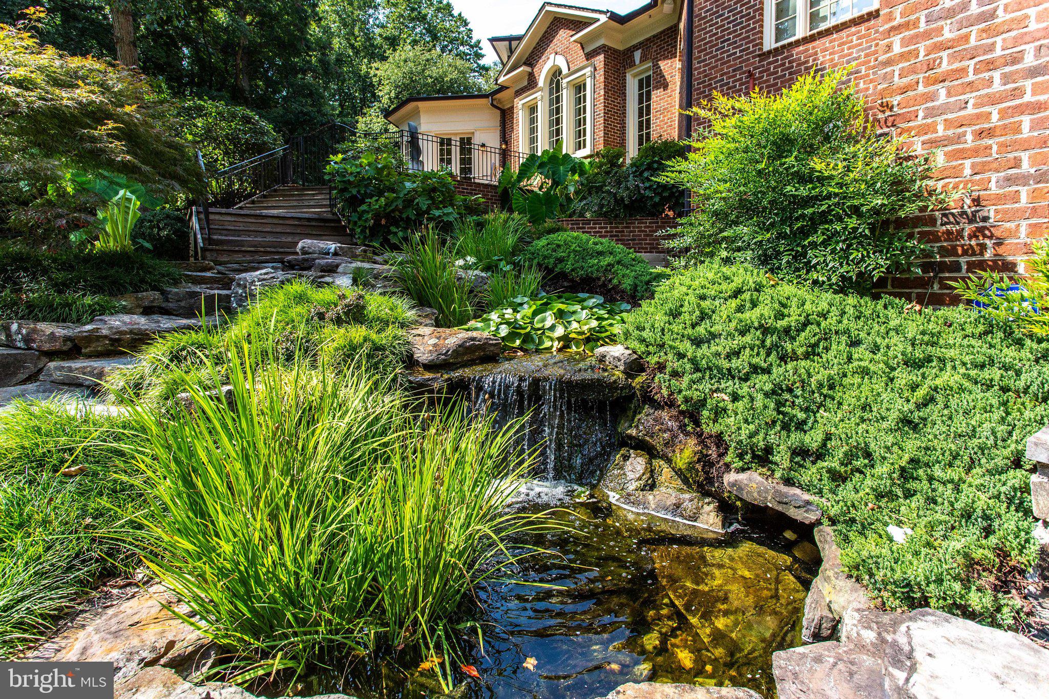 1008 Pine Hill Road McLean, VA 22101 - Photo 24 of 29 a view of a garden with plants