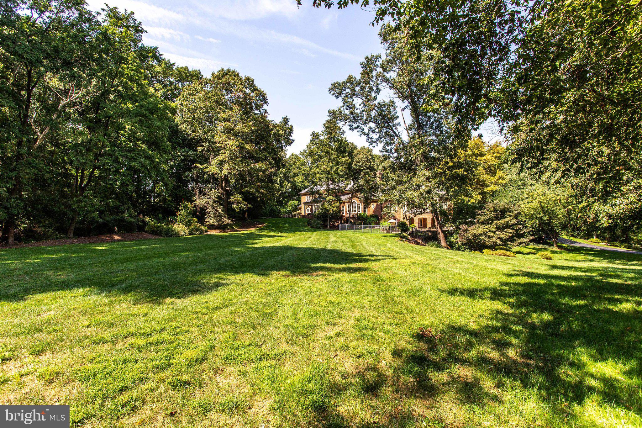 1008 Pine Hill Road McLean, VA 22101 - Photo 27 of 29 a view of a yard with a large trees