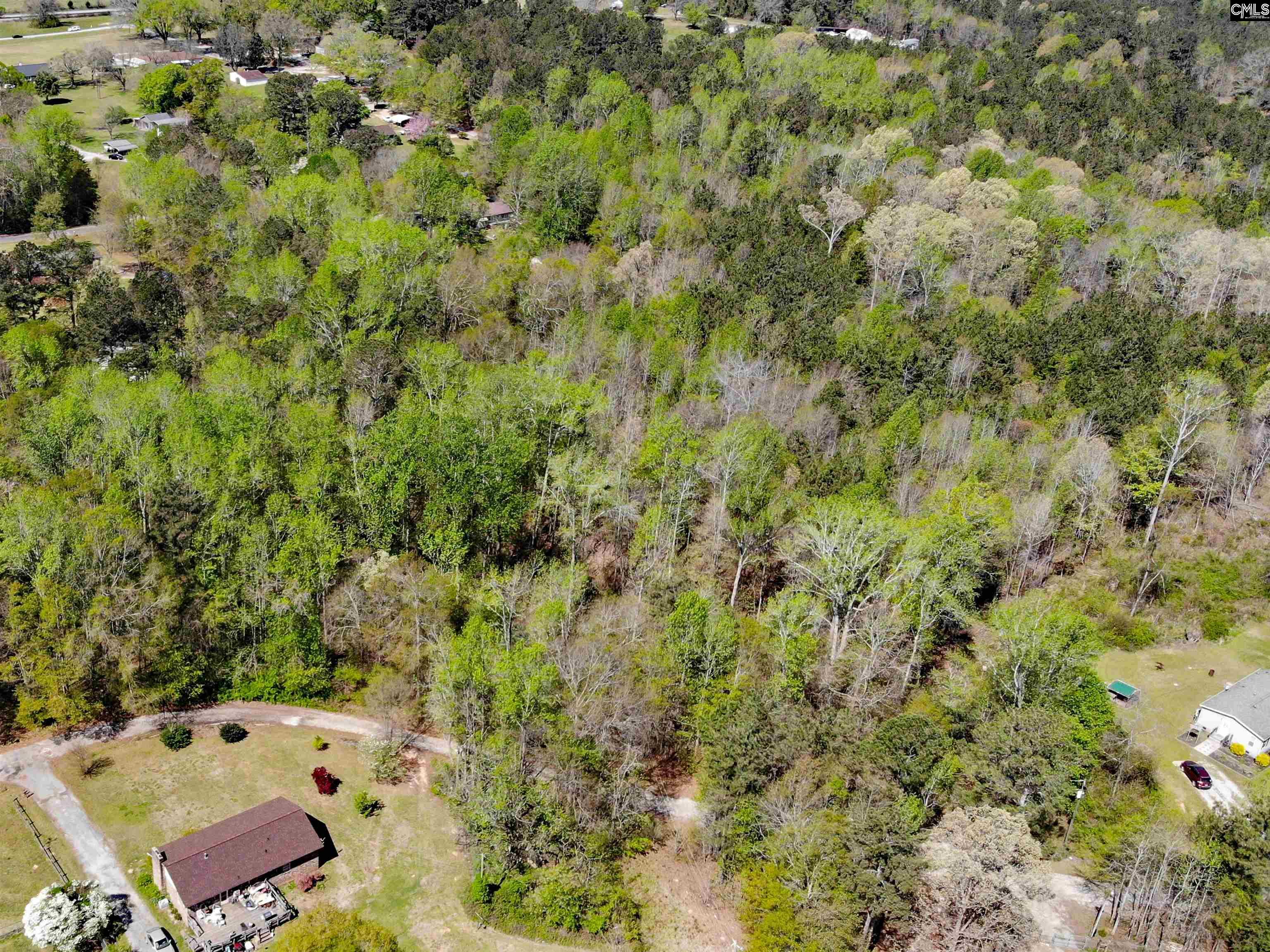 Tbd James Road Joanna, SC 29351 - Photo 3 of 82