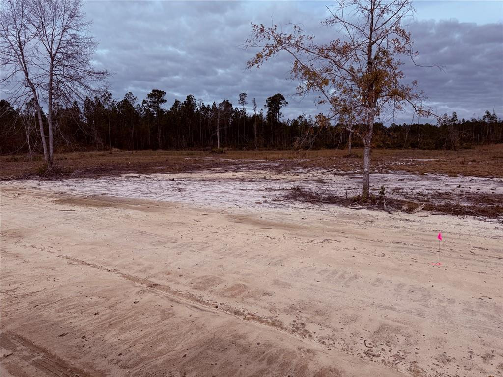 Lot 10 Wiregrass Lane, Unit 10 Waycross, GA 31503 - Photo 4 of 6 Photo 4