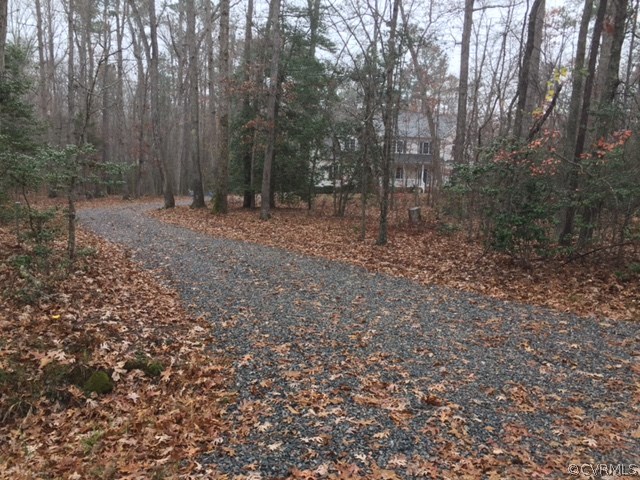 19731 Lacy Farm Road Moseley, VA 23120 - Photo 7 of 20 a view of a forest with trees in the background
