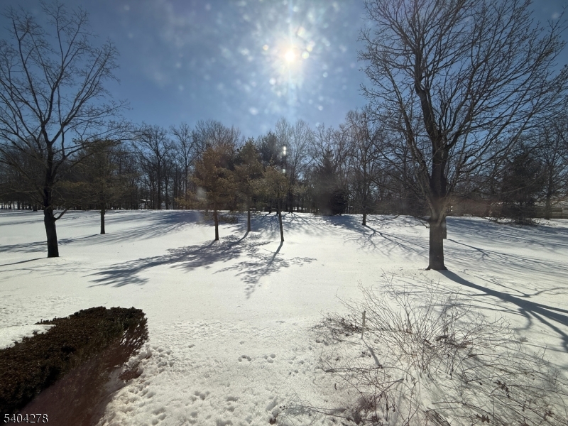 312 Greenfield Road Bridgewater, NJ 08807 - Photo 31 of 31