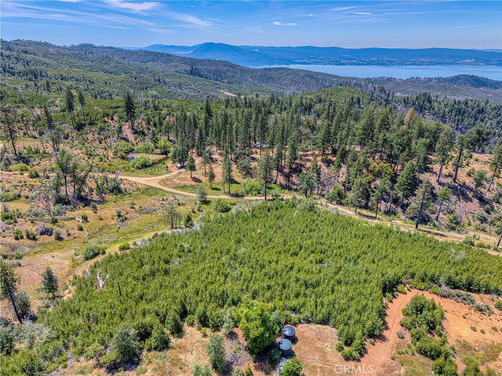 6135 15 N 12 Road Upper Lake, CA 95485 - Photo 36 of 68