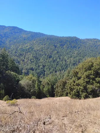 $129,000 | 4100 Hansen Ranch Road, Garberville, CA 95542