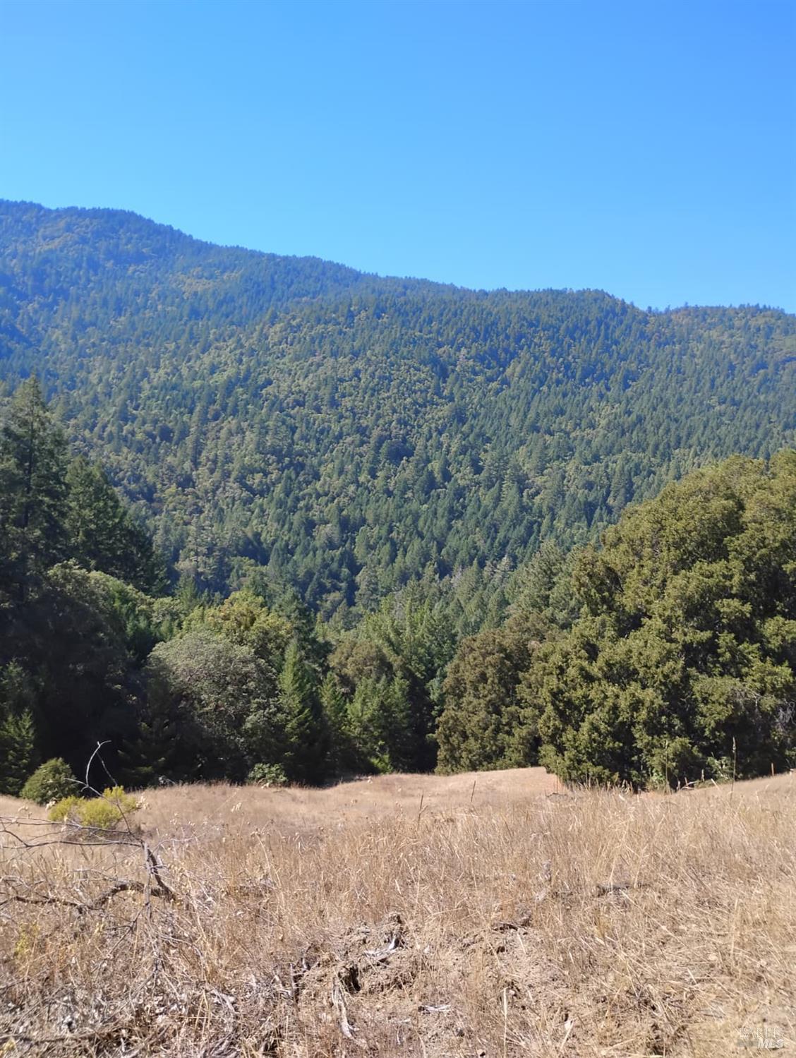 4100 Hansen Ranch Road Garberville, CA 95542 - Photo 1 of 30