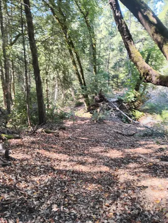 $129,000 | 4100 Hansen Ranch Road, Garberville, CA 95542