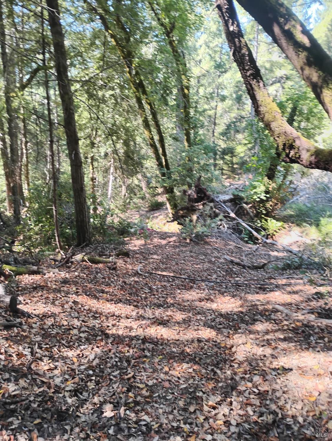 4100 Hansen Ranch Road Garberville, CA 95542 - Photo 12 of 30