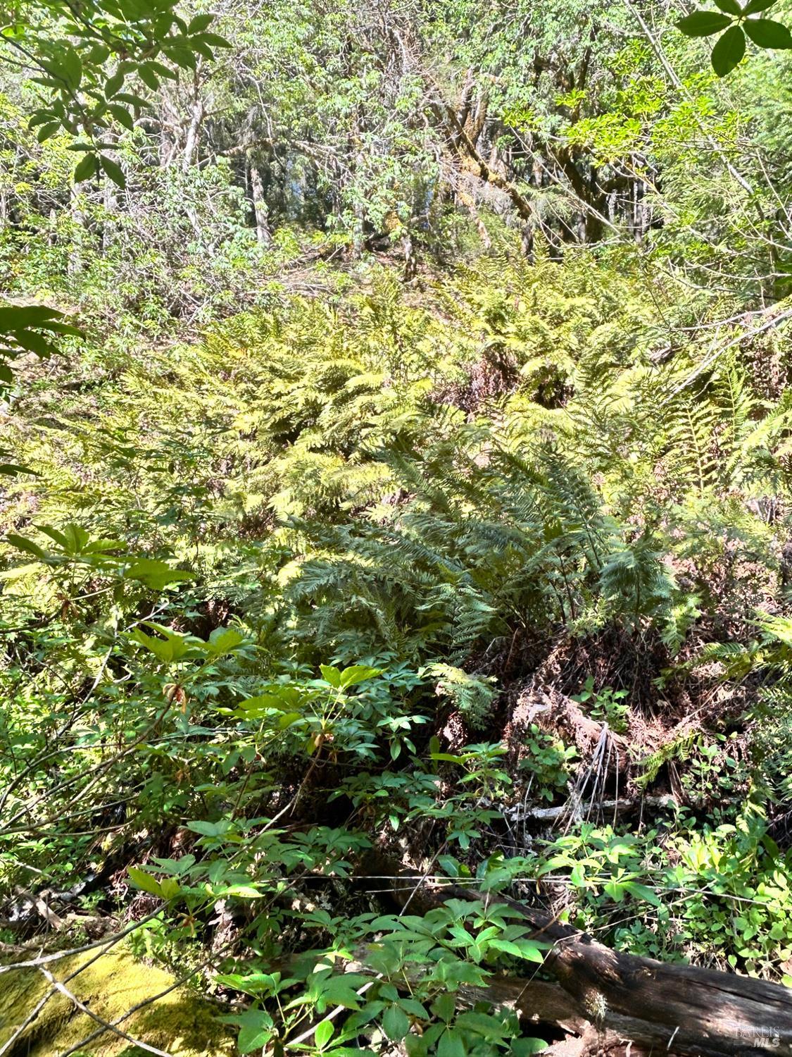 4100 Hansen Ranch Road Garberville, CA 95542 - Photo 13 of 30