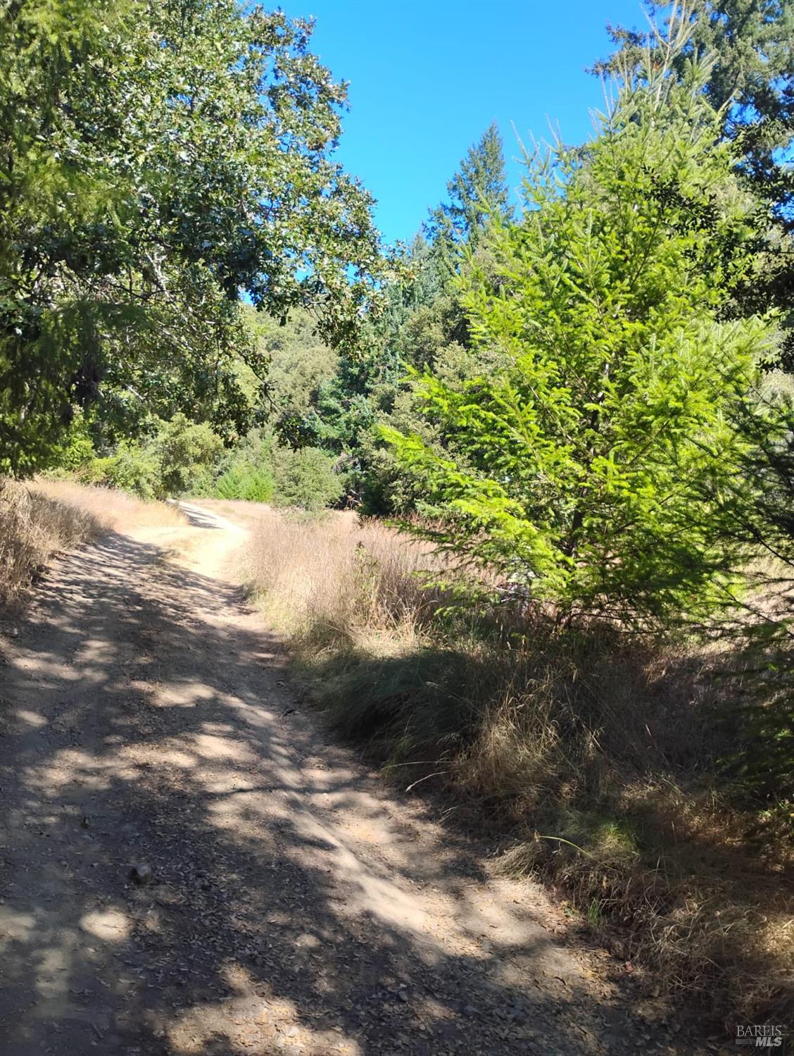 4100 Hansen Ranch Road Garberville, CA 95542 - Photo 14 of 30