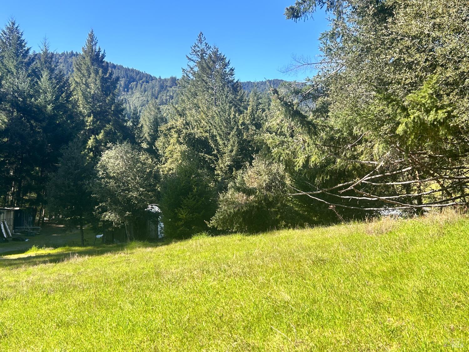 4100 Hansen Ranch Road Garberville, CA 95542 - Photo 15 of 30