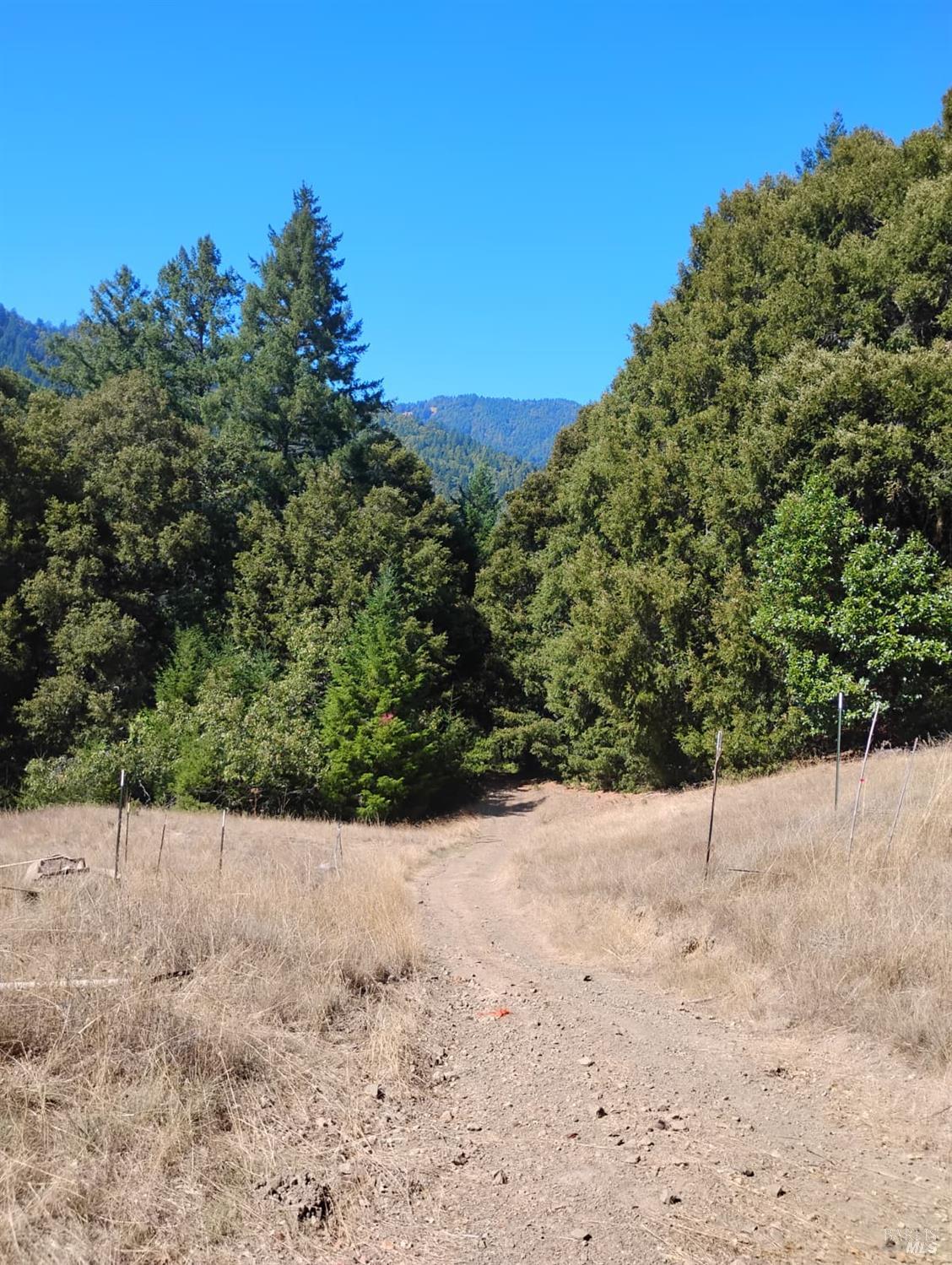 4100 Hansen Ranch Road Garberville, CA 95542 - Photo 16 of 30