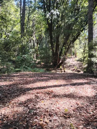 $129,000 | 4100 Hansen Ranch Road, Garberville, CA 95542