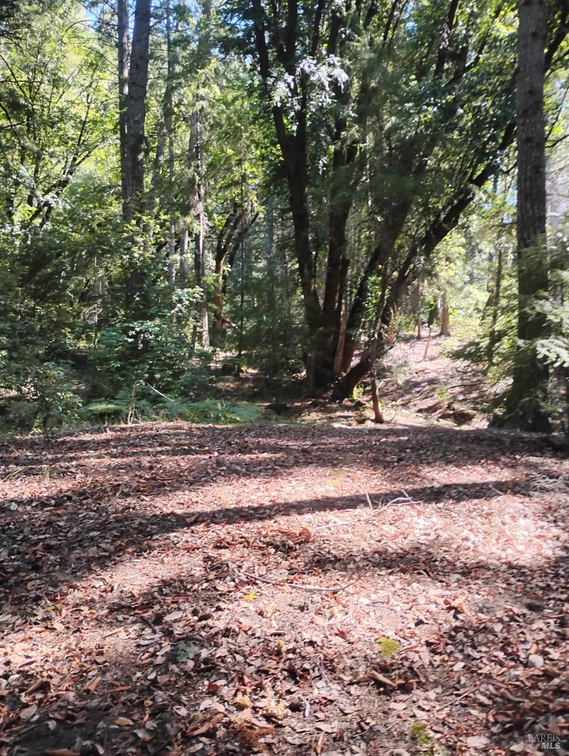 4100 Hansen Ranch Road Garberville, CA 95542 - Photo 18 of 30