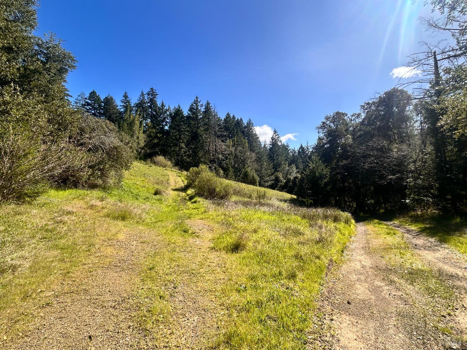 4100 Hansen Ranch Road Garberville, CA 95542 - Photo 21 of 30