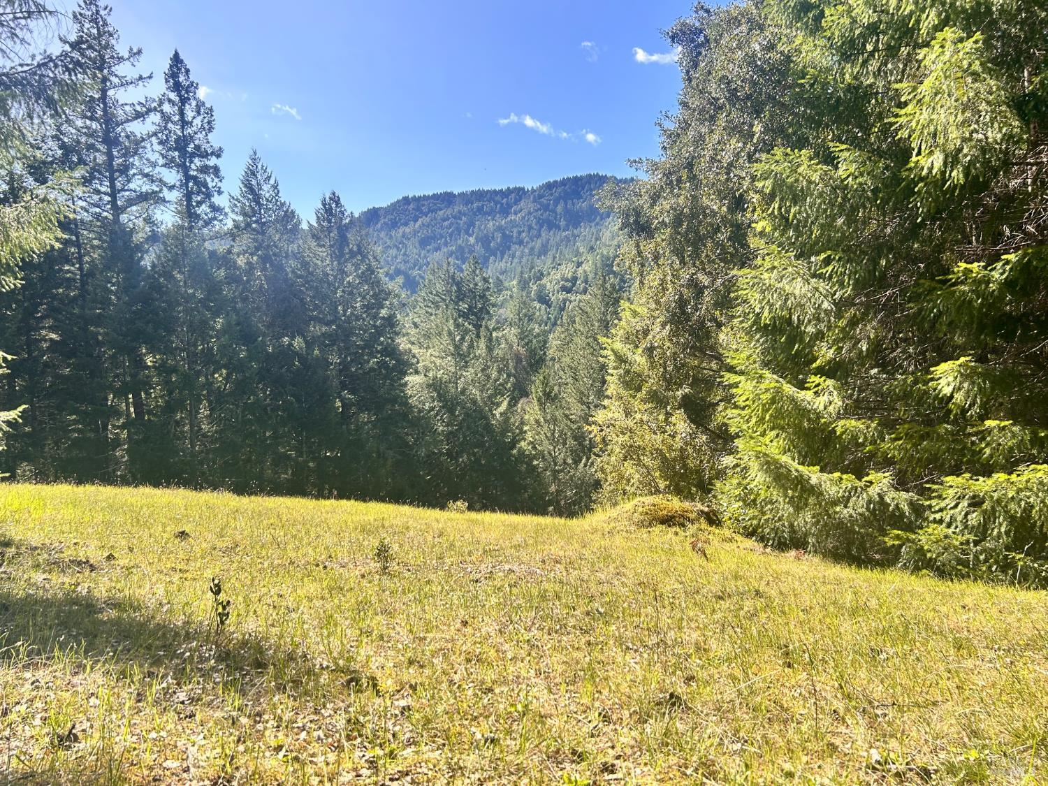 4100 Hansen Ranch Road Garberville, CA 95542 - Photo 22 of 30