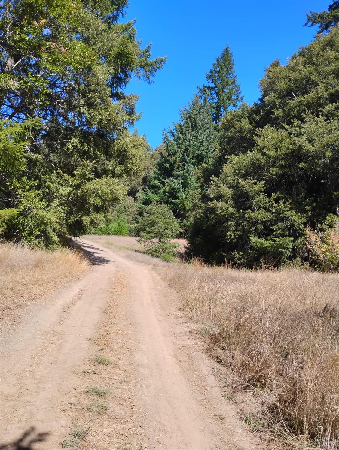 4100 Hansen Ranch Road Garberville, CA 95542 - Photo 23 of 30