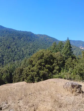 $129,000 | 4100 Hansen Ranch Road, Garberville, CA 95542