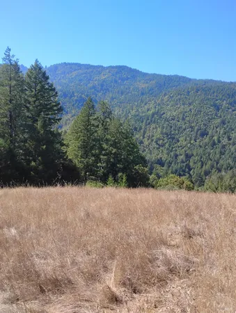 $129,000 | 4100 Hansen Ranch Road, Garberville, CA 95542