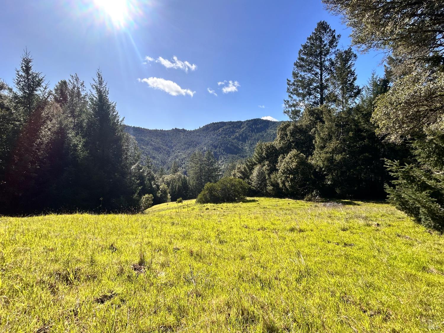 4100 Hansen Ranch Road Garberville, CA 95542 - Photo 30 of 30