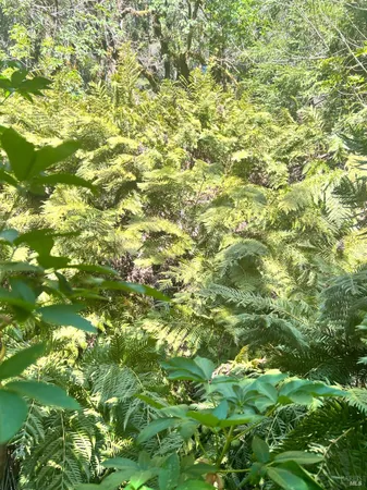 $129,000 | 4100 Hansen Ranch Road, Garberville, CA 95542