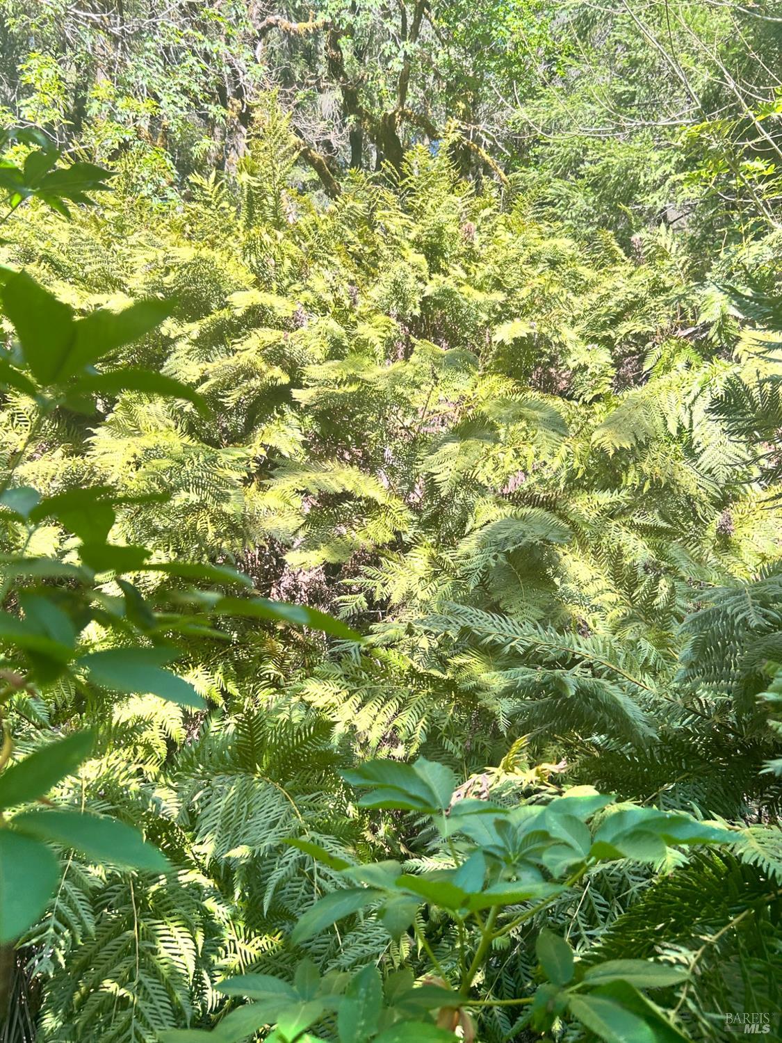 4100 Hansen Ranch Road Garberville, CA 95542 - Photo 5 of 30