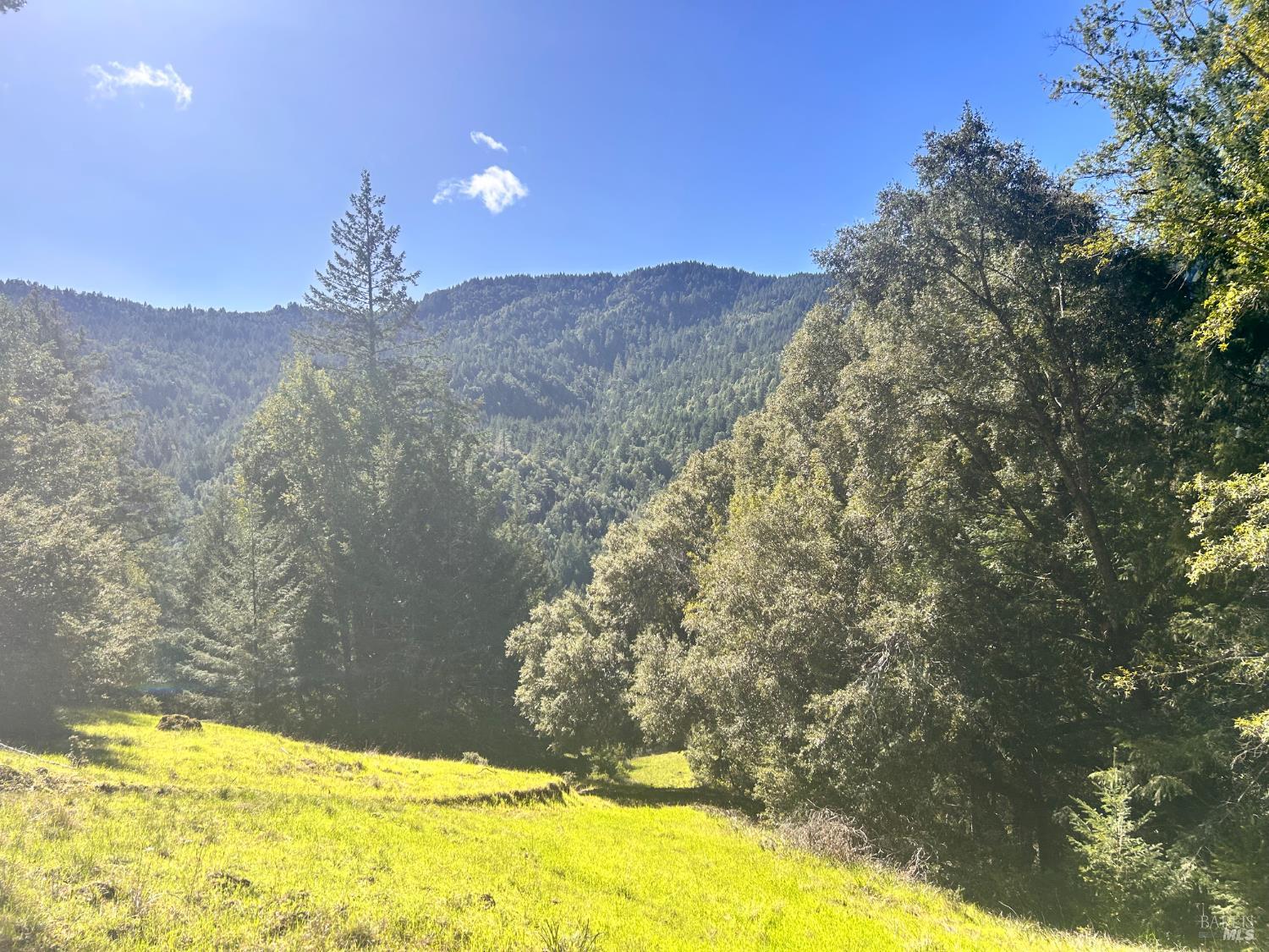 4100 Hansen Ranch Road Garberville, CA 95542 - Photo 6 of 30