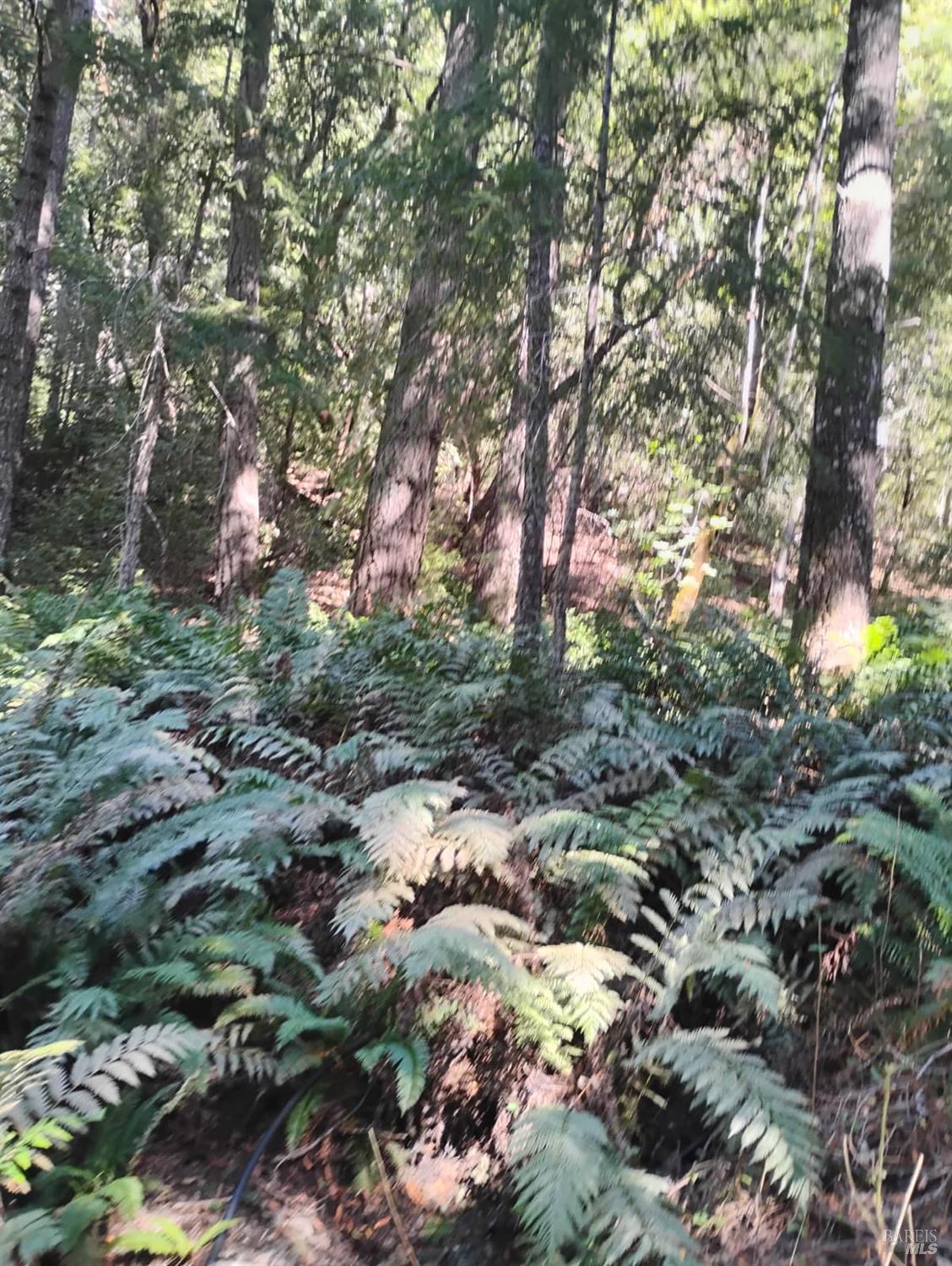 4100 Hansen Ranch Road Garberville, CA 95542 - Photo 7 of 30