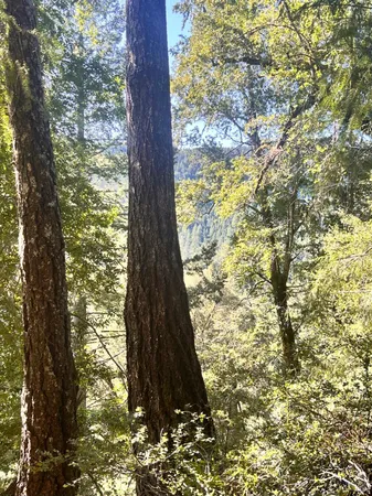 $129,000 | 4100 Hansen Ranch Road, Garberville, CA 95542