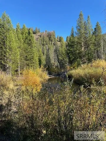 $269,000 | Tbd Tbd Napias Creek Road, Shoup, ID 83469