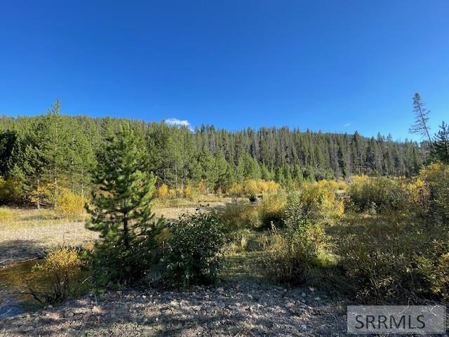 Tbd Tbd Napias Creek Road Shoup, ID 83469 - Photo 11 of 28