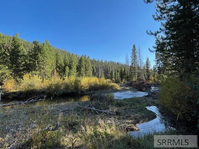 Tbd Tbd Napias Creek Road Shoup, ID 83469 - Photo 12 of 28
