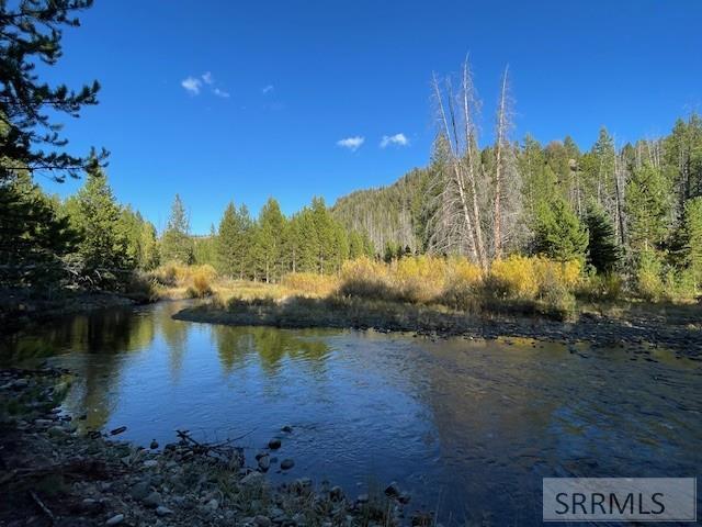 Tbd Tbd Napias Creek Road Shoup, ID 83469 - Photo 13 of 28