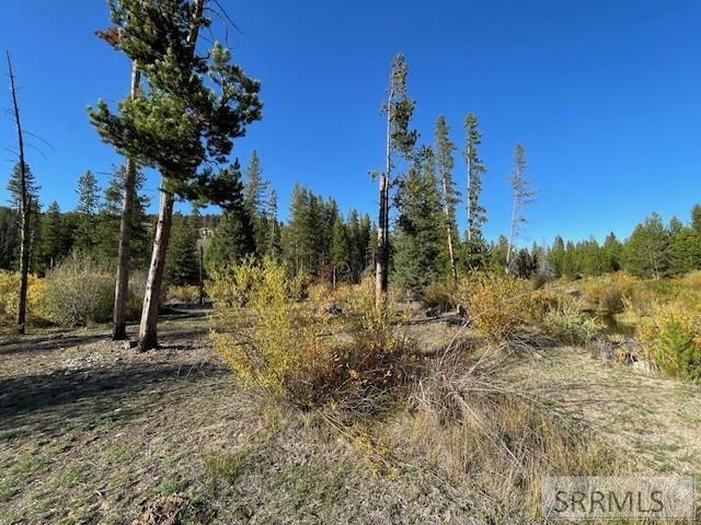 Tbd Tbd Napias Creek Road Shoup, ID 83469 - Photo 15 of 28